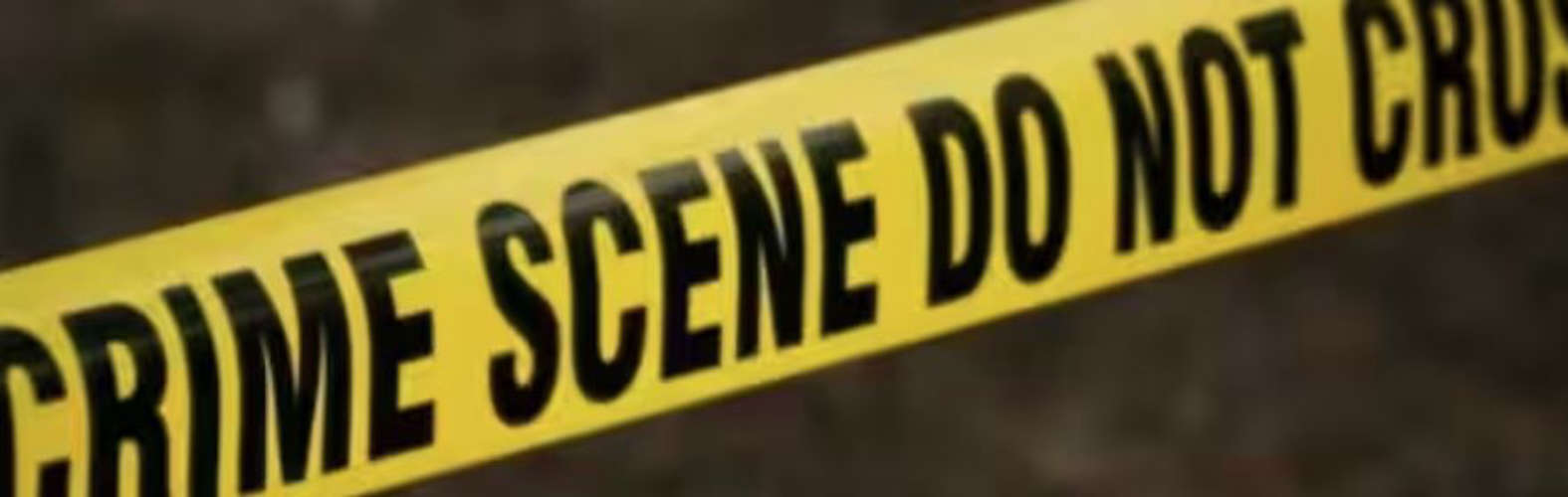 Rajya Sabha MP's Daughter Runs BMW Over Man Sleeping On Pavement, Gets Bail