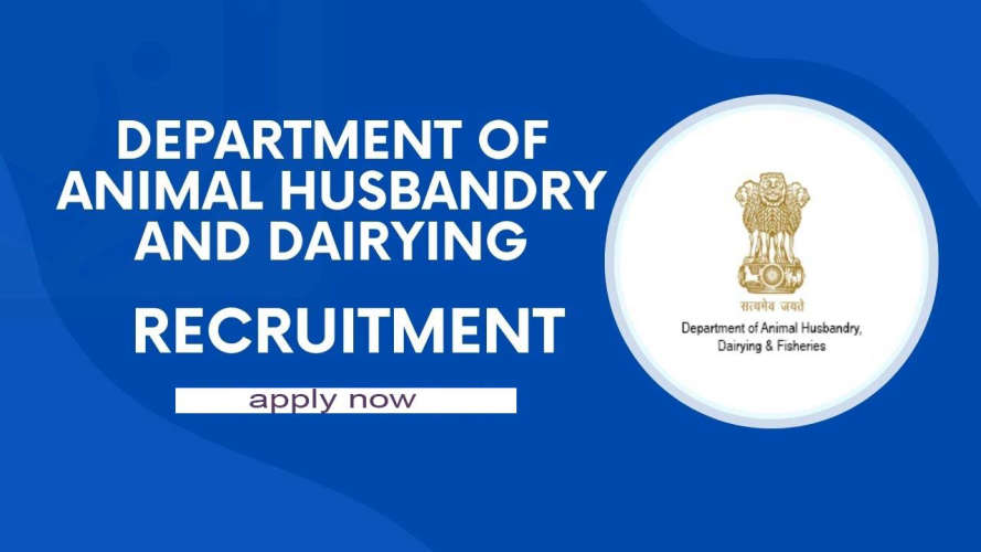 job in department of animal husbundry and diarying