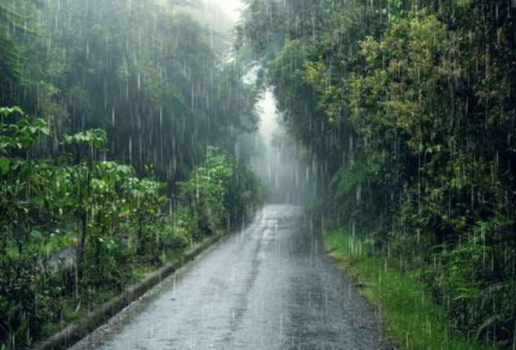 heavy-rain-alert-latestinfo-today