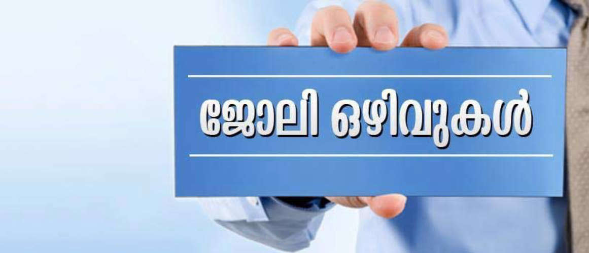 Sweeper to Trainee Analyst Can get temporary government jobs in various districts of Kerala Interview only