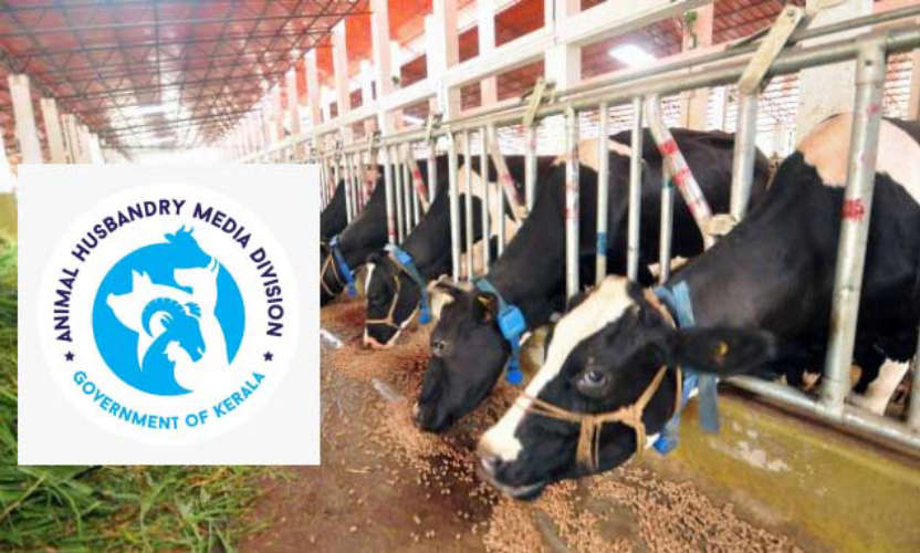 psc recruitment in kerala Animal Husbandry department