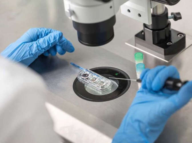 Infertility Treatment Fraud in Saudi Arabia; Fake doctor arrested
