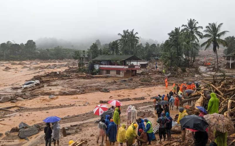 urulpottal harison plantation - help numbers