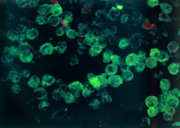 amoebic encephalitis thiruvananathapuram