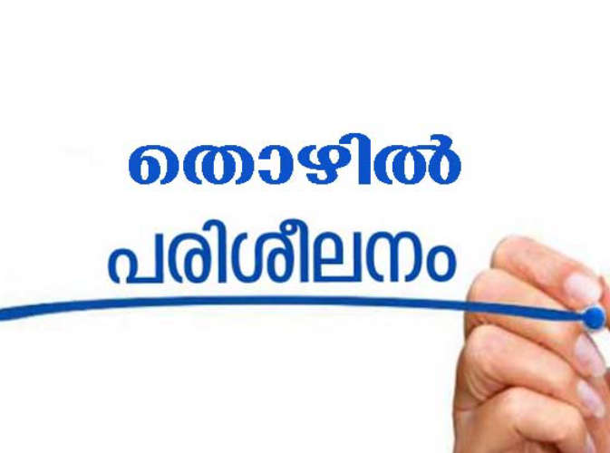 vocational training for girls Central government scheme soon In the second phase the project will also start in Kerala