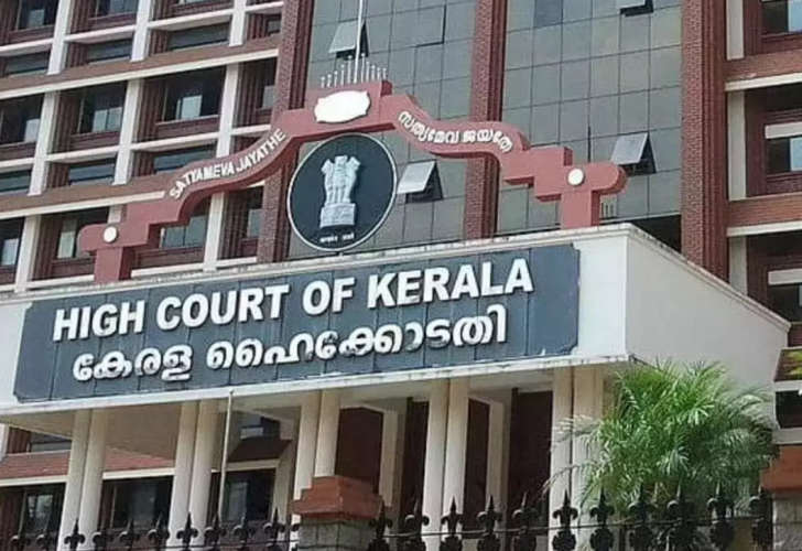 High Court Temporarily Bans Bringing Elephants from Other States