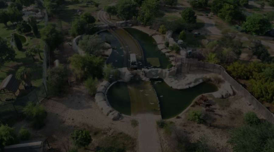 Dubai Safari Park The sixth season will begin on October 1