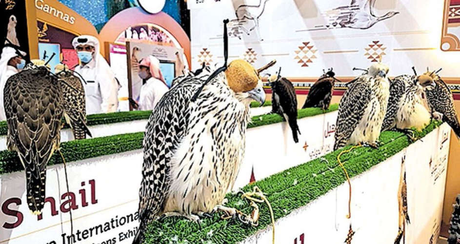The Qatar International Falcon Show will begin today