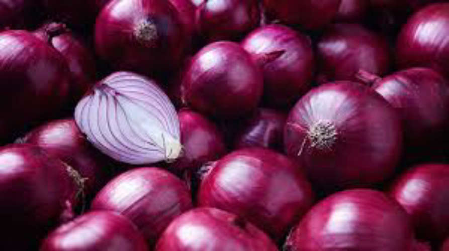 onion export price down