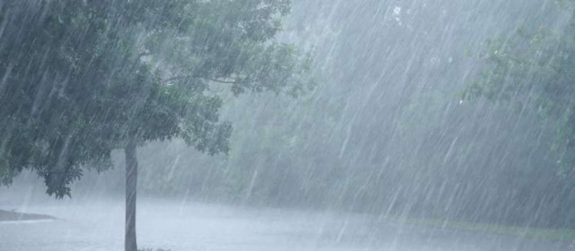 kerala weather report chances of heavy rain and wind yellow alert in three districts