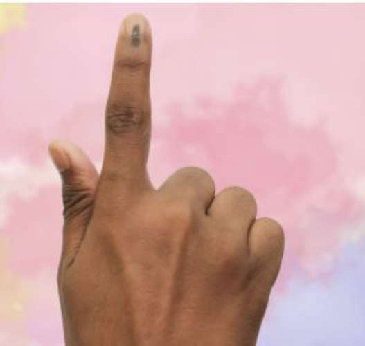 Voting Begins in Wayanad and Chelakkara Priyanka Gandhi Faces Tight Contest in Wayanad Campaign Issues Arise in Chelakkara