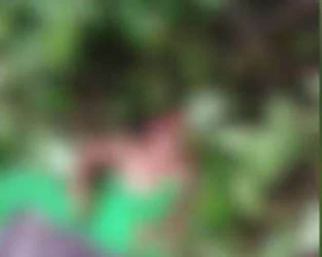 Tragic Incident Six-Year-Old Girl Dragged by Leopard from Tea Estate in Valparai