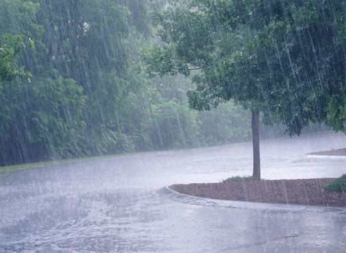 Heavy rains in Kollam and Idukki Indentured laborer dies in mountain floods yellow alert in 10 districts