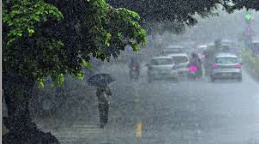 Heavy Rain Warning in Tamil Nadu Due to Low Pressure in Bay of Bengal Schools Closed in 10 Districts