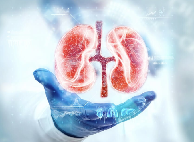 Keep these things in mind if you want to keep your kidneys healthy