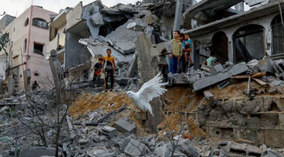 Recent reports indicate that a female hostage was killed in northern Gaza 12