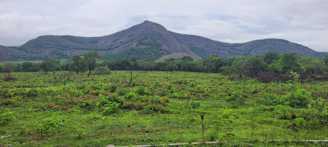 Palakkad KCA with 30 crore cricket sports hub stadium project