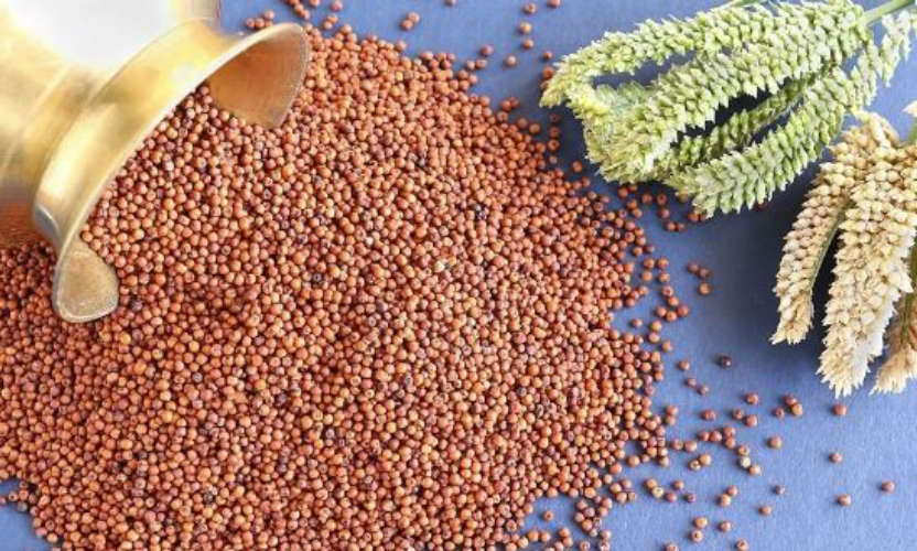 Ragi - The health benefits are endless