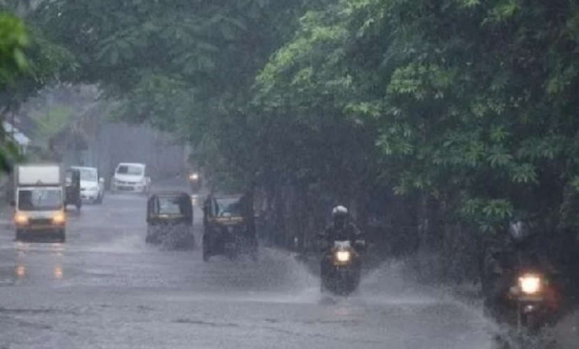 Yellow Alert in 8 Districts 40 kmph Winds Expected