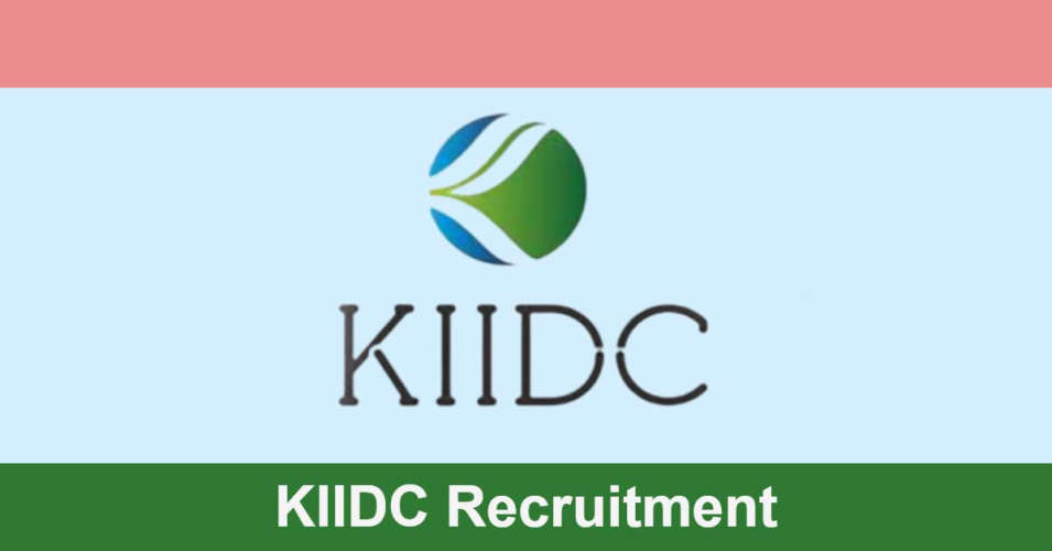 Various Vacancies in Irrigation Department Degree eligible candidates can apply