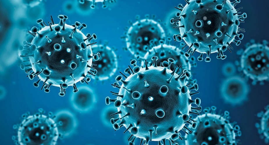 Climate Change Impacts Malaria Cases in UAE