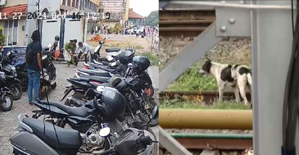 Street dog attack at Kannur railway station Suspected rabies