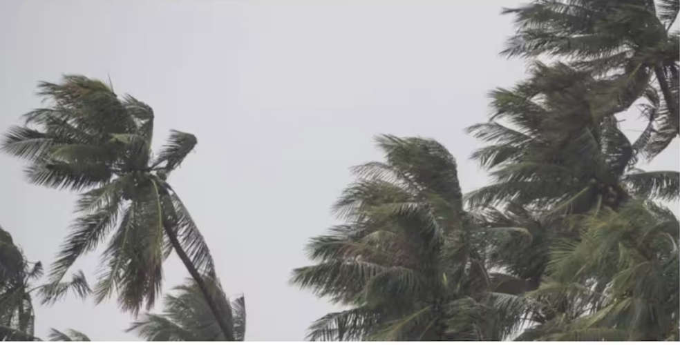 Cyclone Fingal Schools in 6 Tamil Nadu Districts to Remain Closed Tomorrow