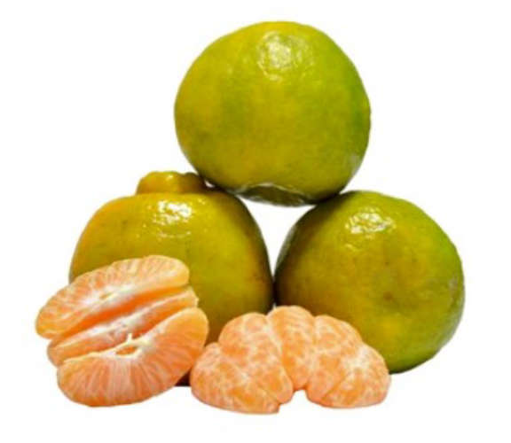 Isnt it orange season Do not forget to pay attention to these things while buying