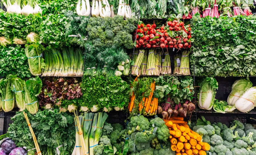 Harvest time in Oman Prices of vegetables may decrease
