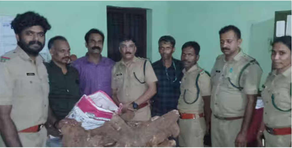 235 kg of Sandalwood Seized After 3-Day Surveillance Following Tip-Off