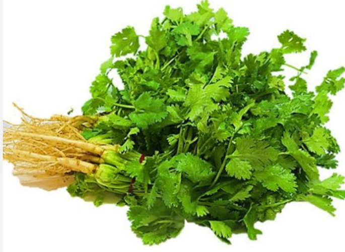 This is enough to keep cilantro intact for weeks