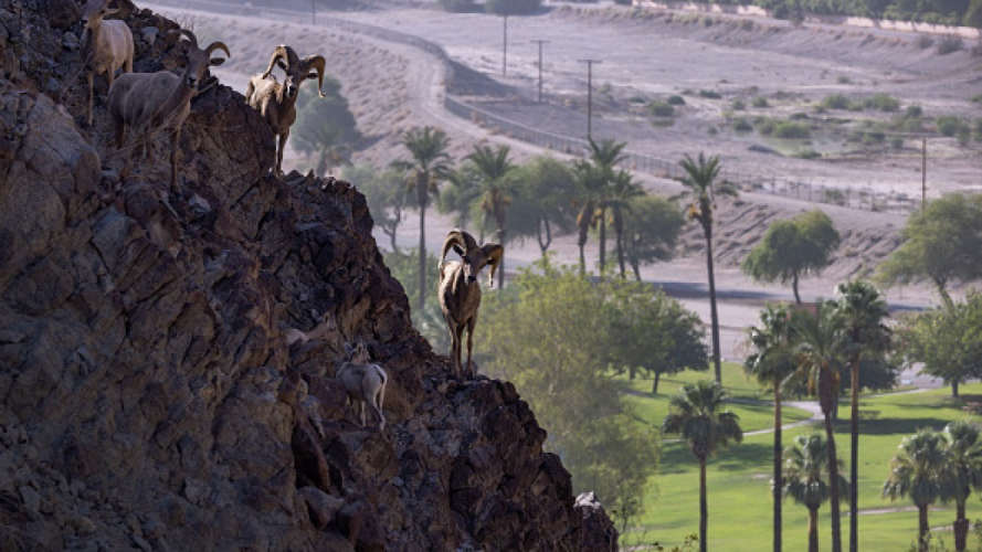Temperatures below zero recorded in some areas of Saudi Arabia