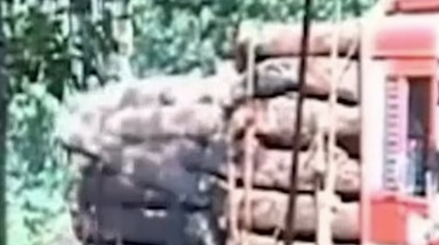 Accident while unloading wood from lorry in Malappuram A tragic end for the porter