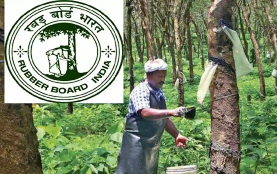 Field Officer recruitment in Kerala Rubber Board 40 vacancies Salary upto 34800