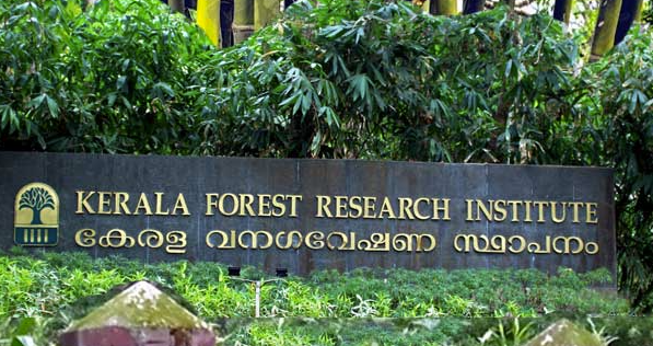 Project Fellow at Kerala Forest Research Institute through interview