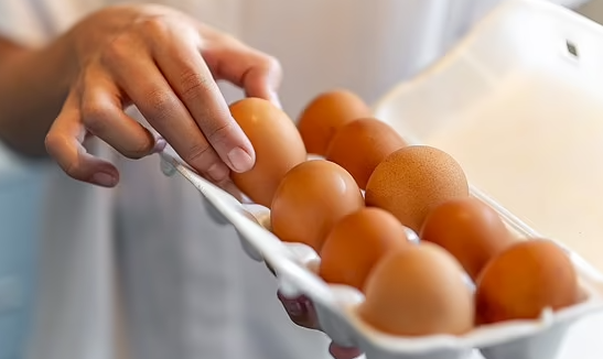 egg.png