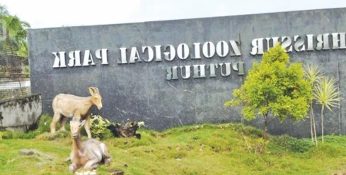 various vacancies in thrissur zoological park apply now