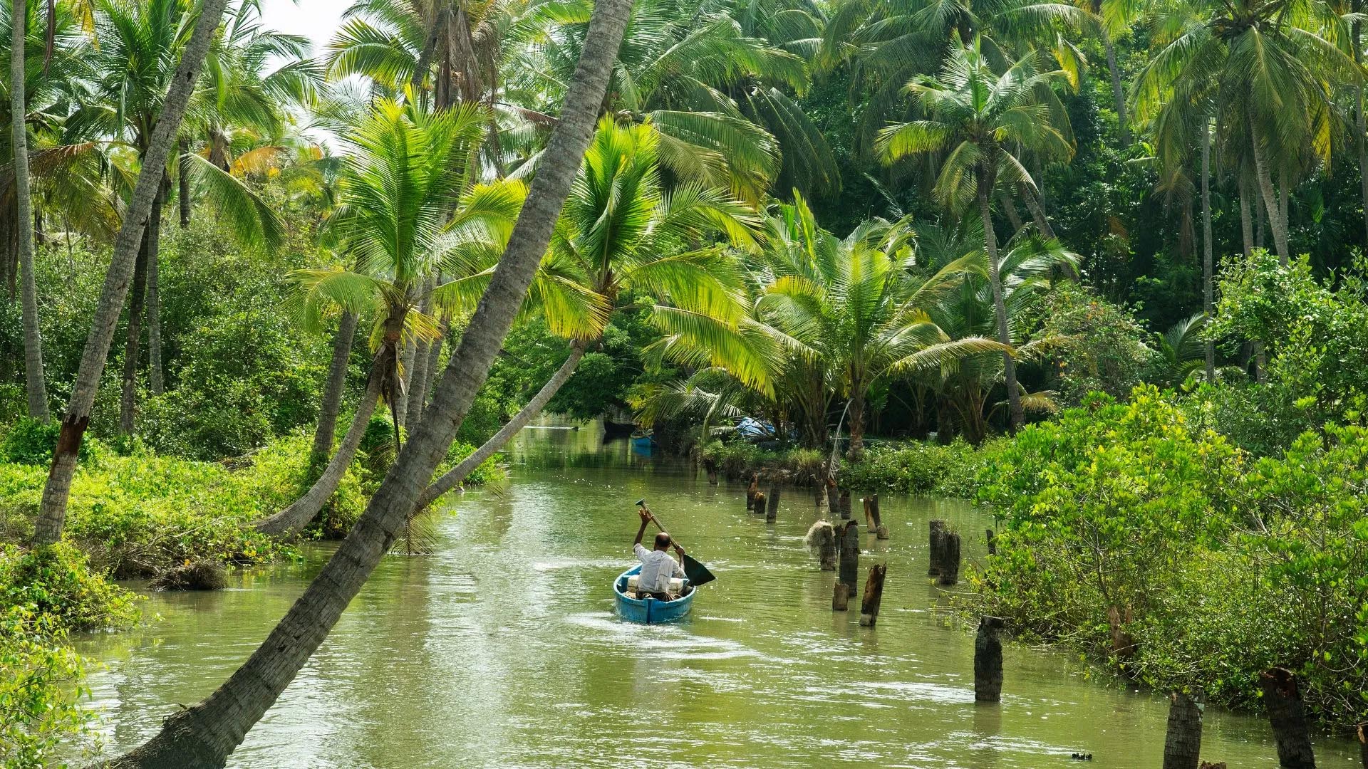 Kozhikode will now flow clearly 555 drainage channels have been cleaned through Haritha Kerala Mission 