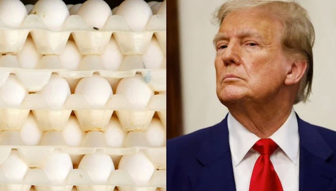 Trump Stuck in an Egg Crisis 