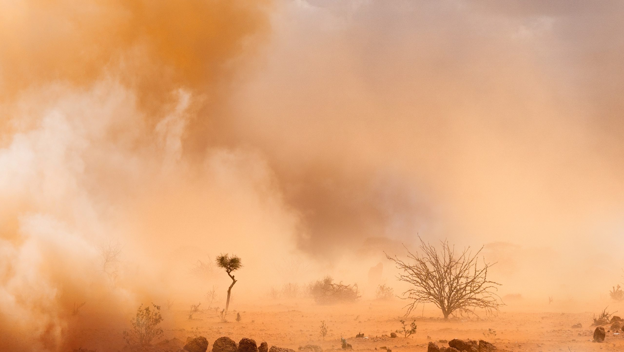 UAE weather alert Dust storms sweep in Dubai and Abu Dhabi