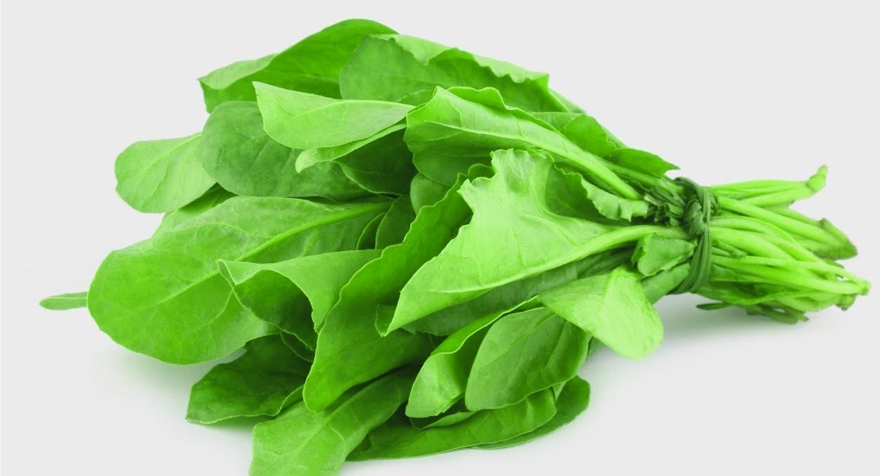 leaf.jpg