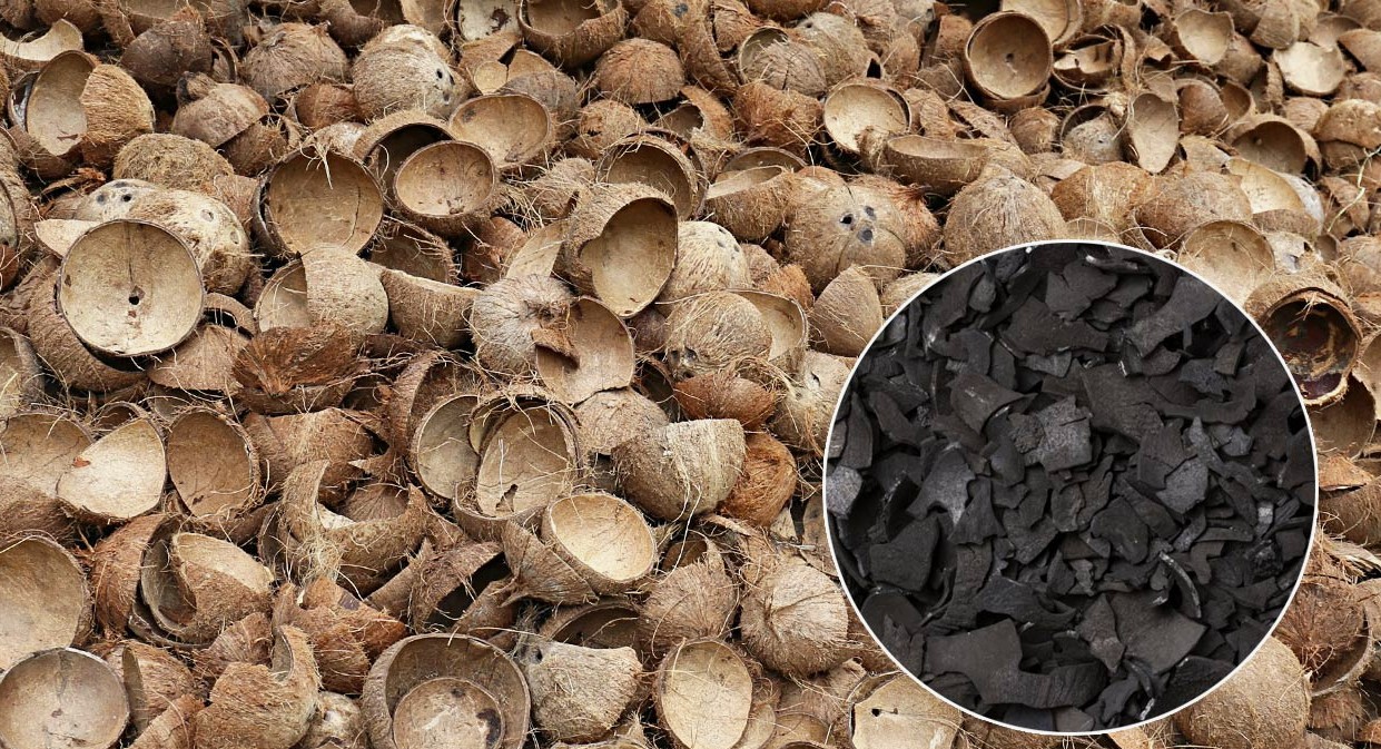 coconut shell export Chaina Jarmany Ittaly