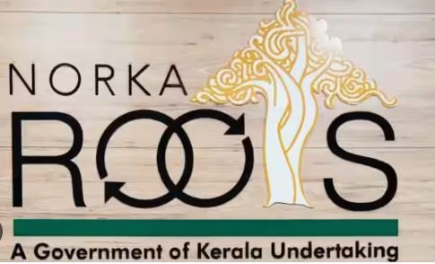 norka roots invited application for ielts oet nifl course 