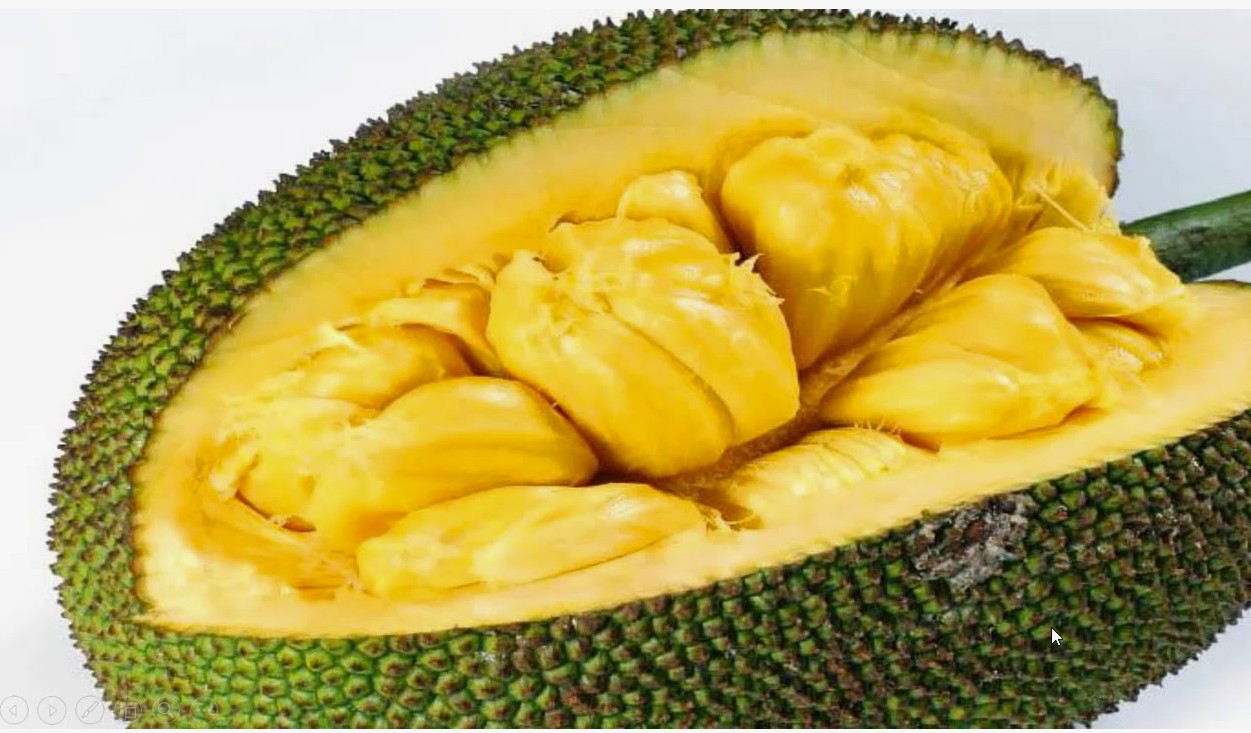 eat jackfruit everyone- What about those with diabetes and cholesterol