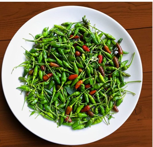 Try planting a chili pepper at home like this it will flourish and grow