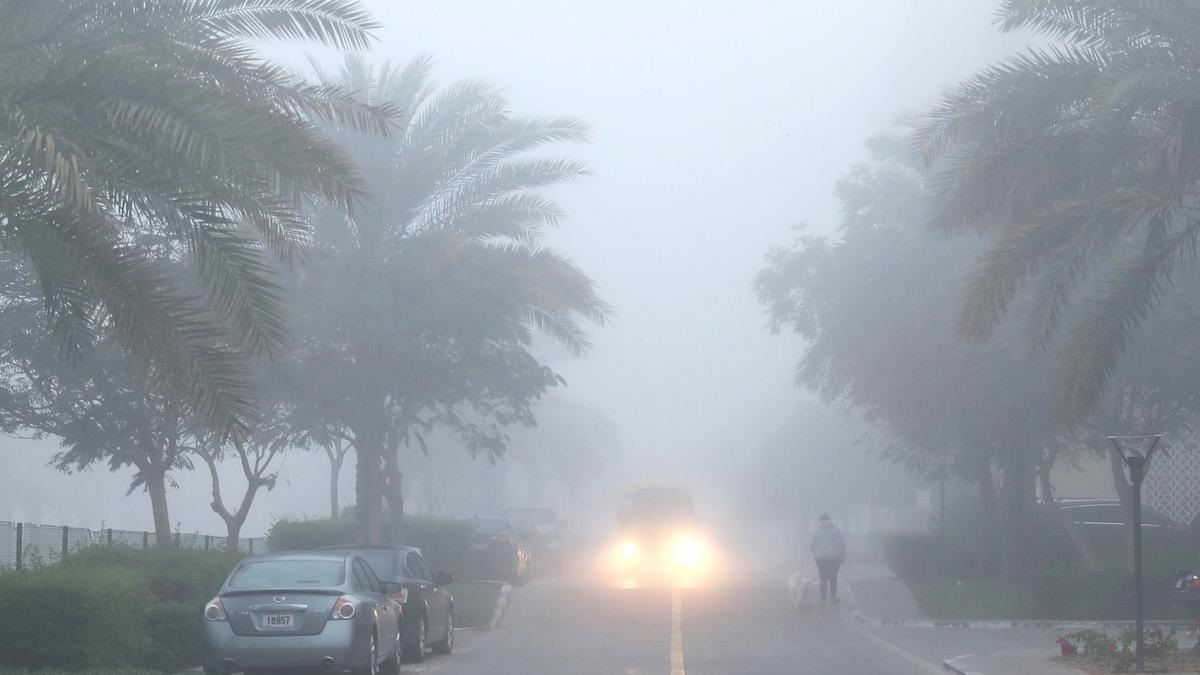 Fog alert in UAE Drive with caution as visibility drops in key areas in Abu Dhabi and Dubai