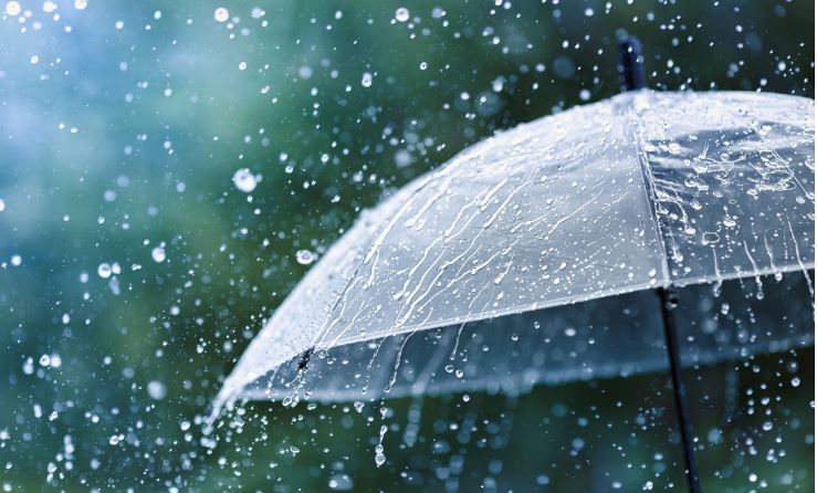 Top Habits to Strengthen Immunity During the Monsoon Season