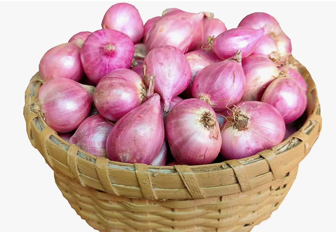 cheu.jpg