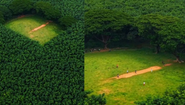 Keralas Hidden Cricket Paradise Amid Rubber Plantations in Thrissur