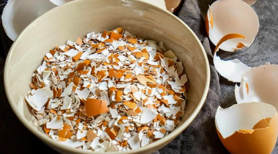 Eggshell Powder for Hair Care A Natural Mineral Boost